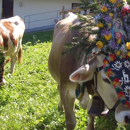Hotel Gasthof Jaeger Zillertal Schlitters Bagian luar foto